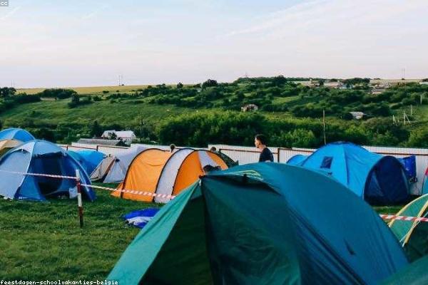 Estate Planning Essentials