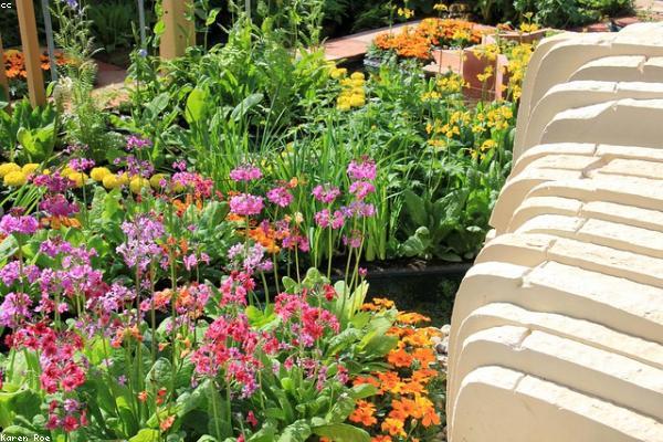 The FIRE Movement: Retire Early